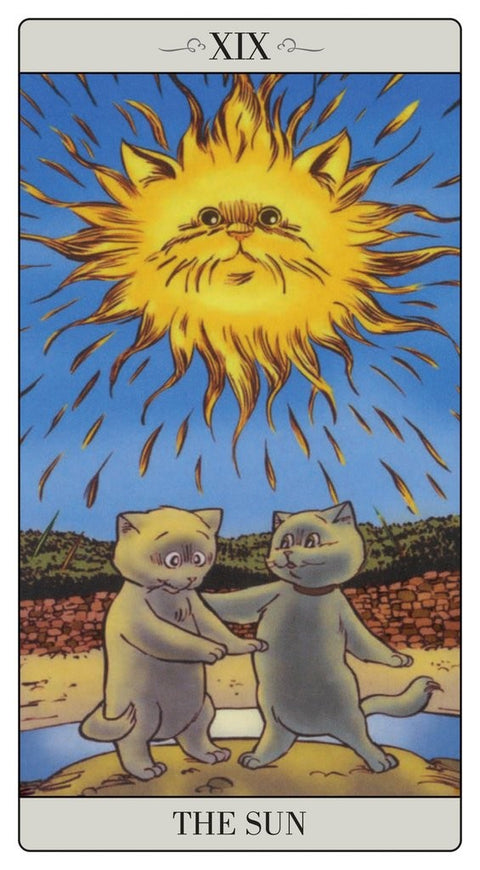 The Way Jodorowsky Explained Tarot To His Cat Cards Lo Scarabeo