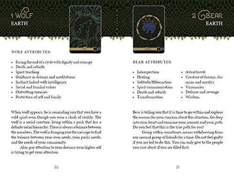 The Wild Elemental Oracle cards Schiffer Publishing