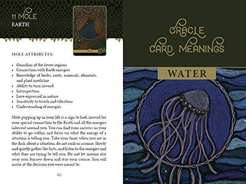 The Wild Elemental Oracle cards Schiffer Publishing