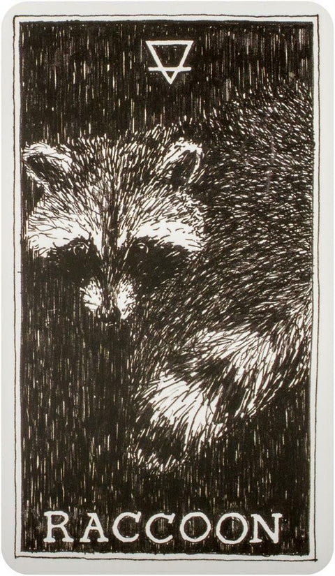 The Wild Unknown Pocket Animal Spirit Cards Harper One