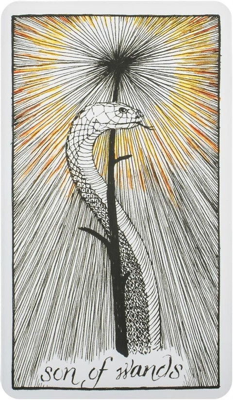 The Wild Unknown Pocket Tarot Cards Harper One