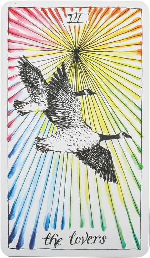 The Wild Unknown Tarot Cards Harper One