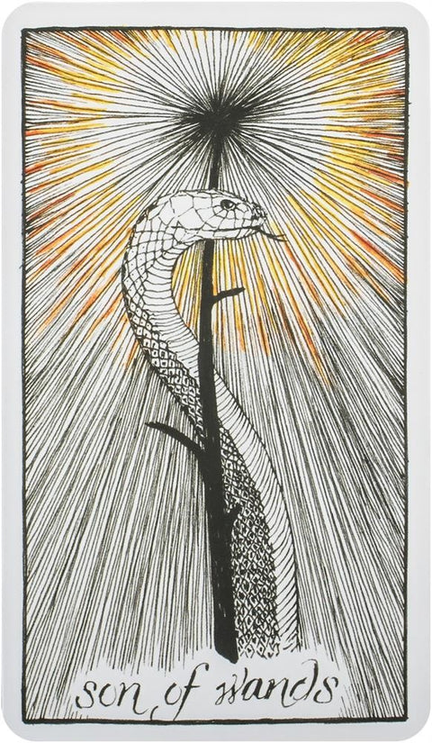 The Wild Unknown Tarot Cards Harper One