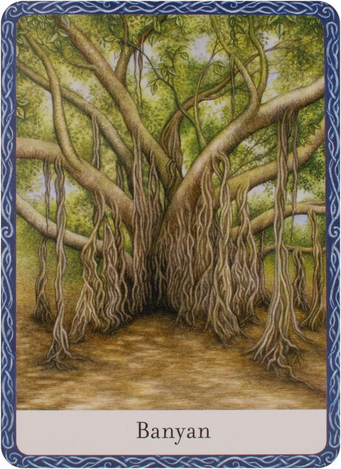 The Wisdom Of Trees Oracle Cards Watkins Publishing