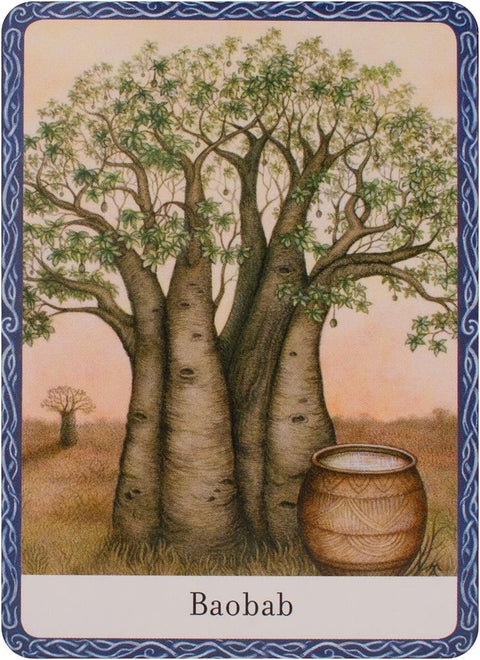 The Wisdom Of Trees Oracle Cards Watkins Publishing