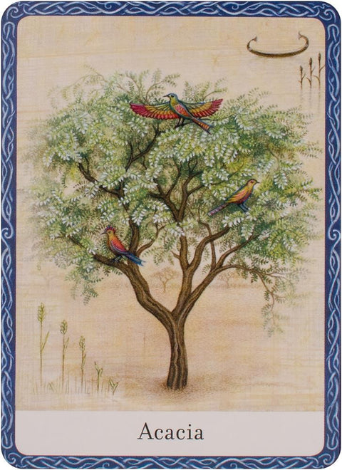 The Wisdom Of Trees Oracle Cards Watkins Publishing