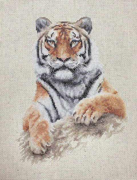 Tiger SB2289 - Cross Stitch Kit by Luca-s