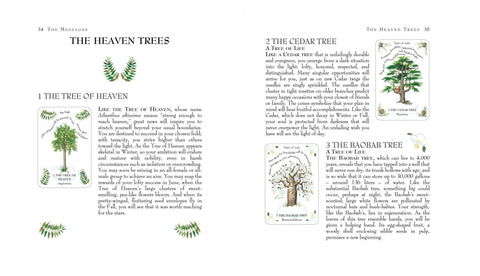 Tree Magick Oracle Cards Cico Books