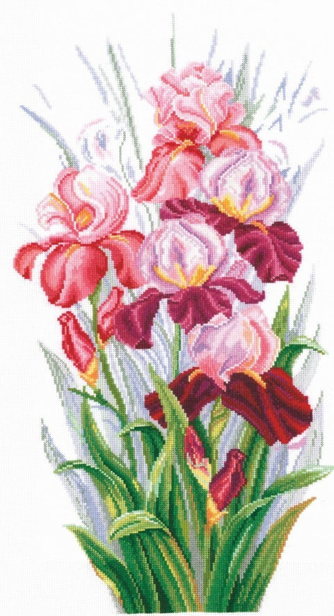 Triumph Of Irises SANT-14 - Cross Stitch Kit by Andriana