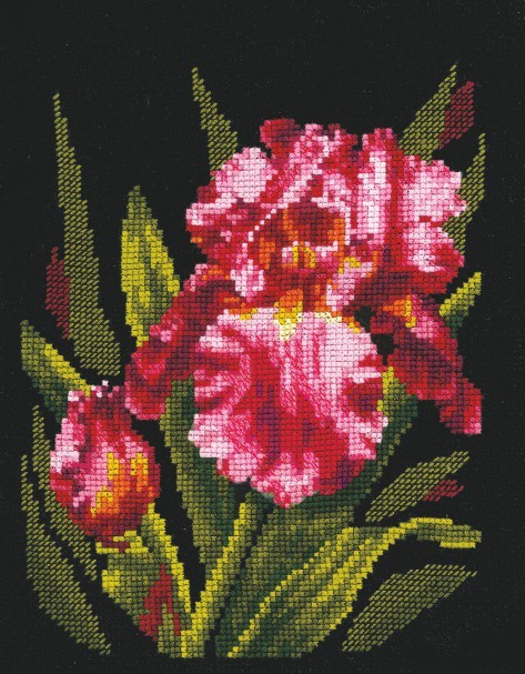 Velvet Iris SANB-15 - Cross Stitch Kit by Andriana