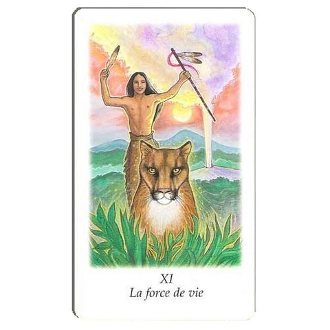 Vision Quest Tarot Cards French Edition AGM