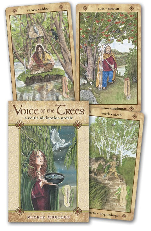 Voice Of The Trees A Celtic Divination Oracle Cards Llewellyn