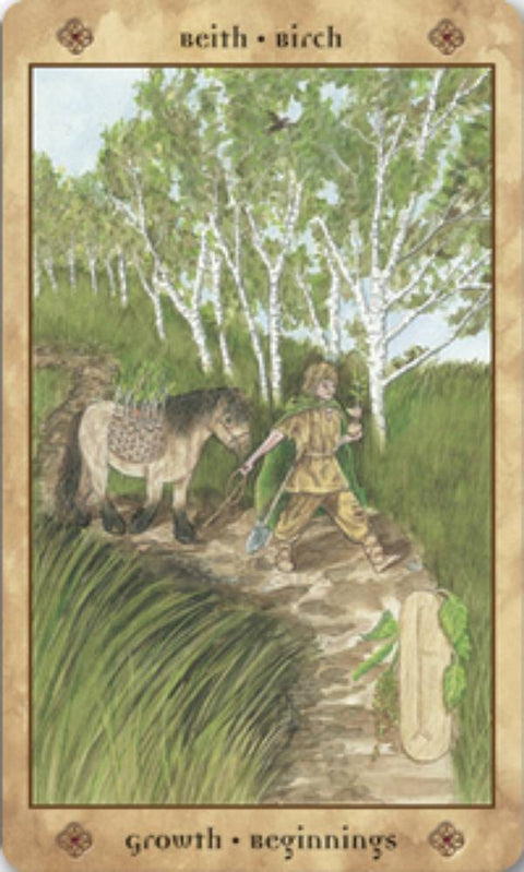 Voice Of The Trees A Celtic Divination Oracle Cards Llewellyn