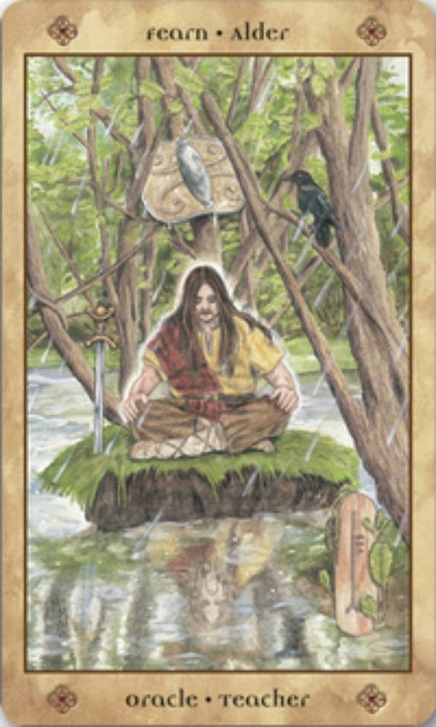 Voice Of The Trees A Celtic Divination Oracle Cards Llewellyn