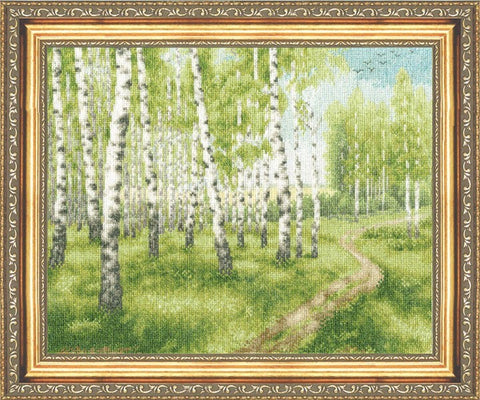 White Birch S/VM008