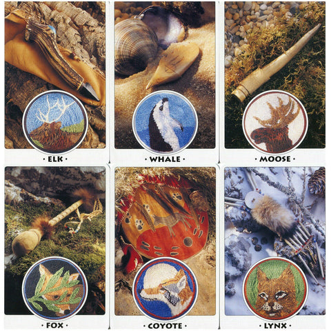 White Eagle Medicine Wheel Cards Welbeck Publishing