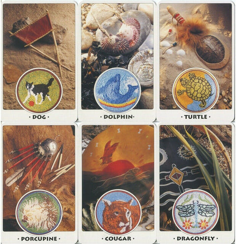 White Eagle Medicine Wheel Cards Welbeck Publishing