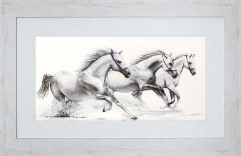 White horses SG495 - Cross Stitch Kit by Luca-s