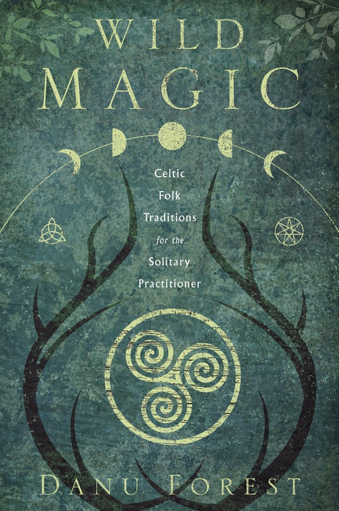 Wild Magic book Llewellyn