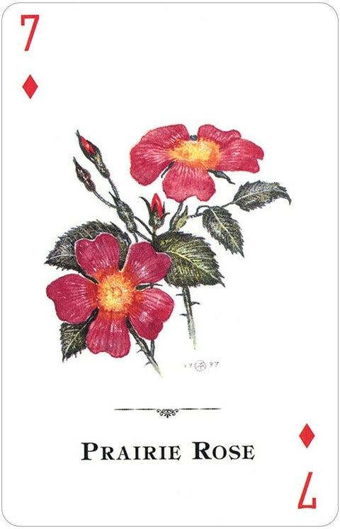 Wildflowers Of The Natural World Playing Cards US Games Systems