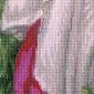 Windflowers after J. W. Waterhouse's Painting - Cross Stitch Kit from RIOLIS Ref. no.:100/055