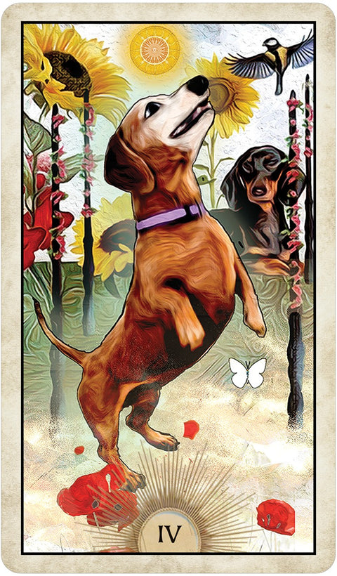 Wise Dog Tarot cards US Games Systems