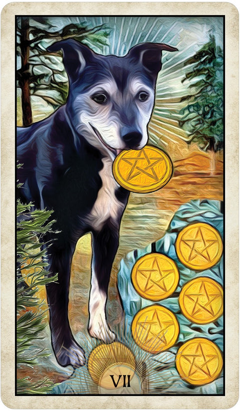 Wise Dog Tarot cards US Games Systems