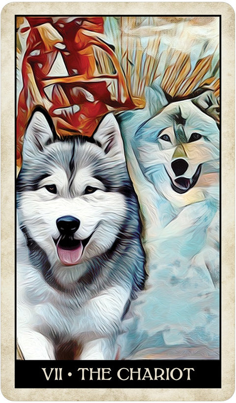 Wise Dog Tarot cards US Games Systems