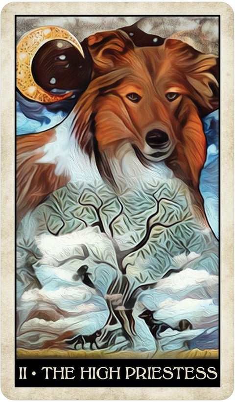 Wise Dog Tarot cards US Games Systems