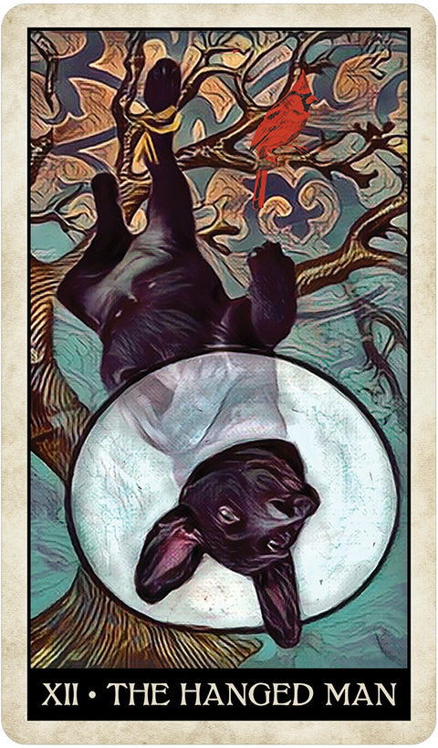 Wise Dog Tarot cards US Games Systems