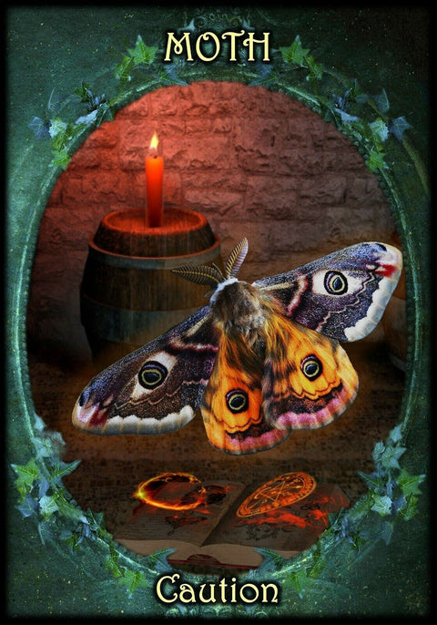 Witches Familiars Oracle Cards Solarus