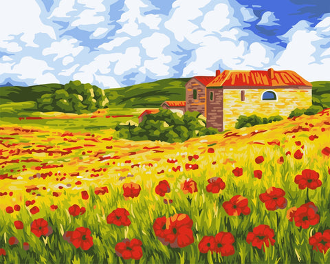 Wizardi Painting by Numbers Kit Poppy Meadow 40x50 cm A091