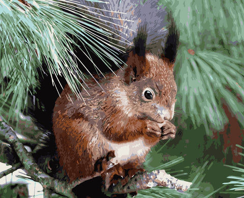 Wizardi Painting by Numbers Kit Squirrel on a Branch 40x50 cm H003