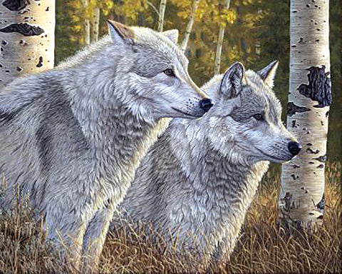 Wolves Diamond Painting Set CS2570