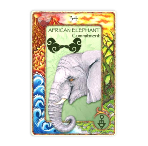 World Animal Dreaming Oracle cards