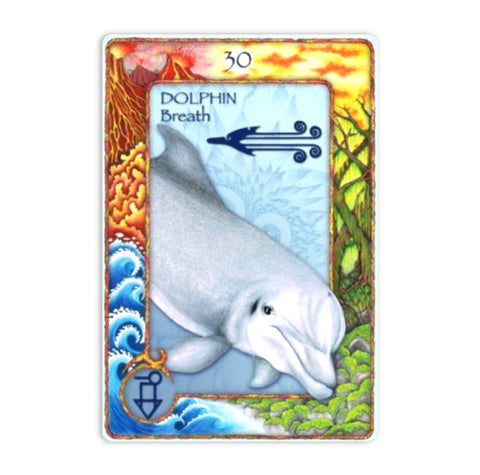 World Animal Dreaming Oracle cards