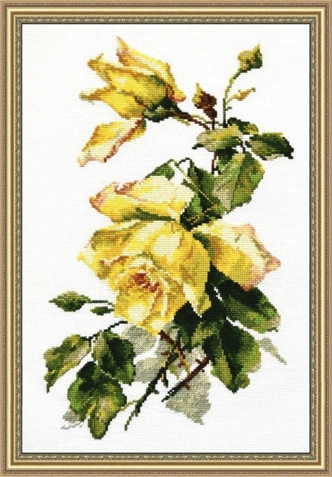 Yellow Rose S682