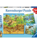 Puzzle 3X49 Animals
