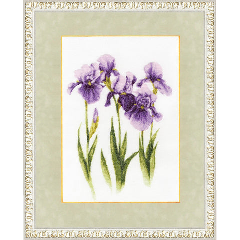 Water-color Irises S/BR017