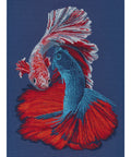 Embroidery kit
