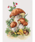 Embroidery kit