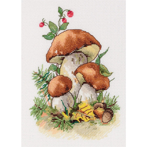 Embroidery kit