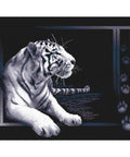 Embroidery kit