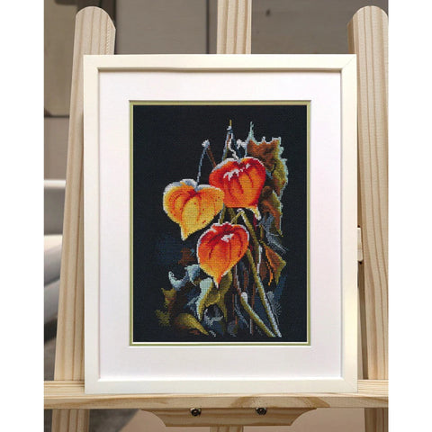 Embroidery kit
