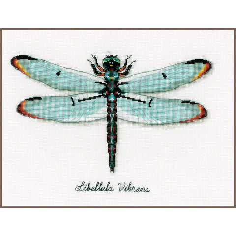 Vervaco Dragonfly Cross Stitch Kit, Counted Embroidery, Multicolor, 27 × 19 cm, Cotton Threads, Needle and Pattern Included